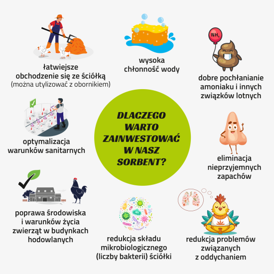 Czysty kurnik – czy jest to możliwe?