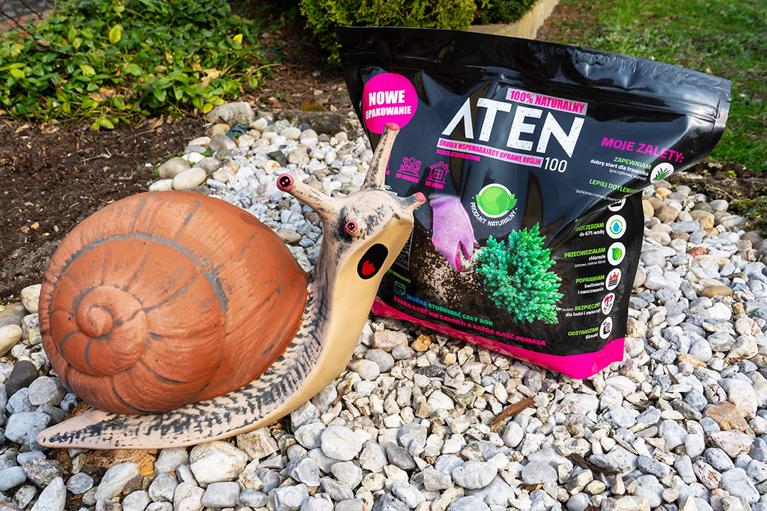 Ślimaki w ogrodzie – naturalne sposoby ograniczania szkód