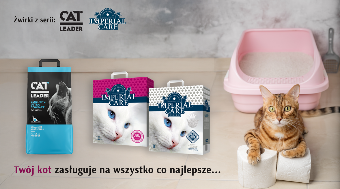 Od czego zależy szczęście kota? 5 filarów kociego dobrostanu.